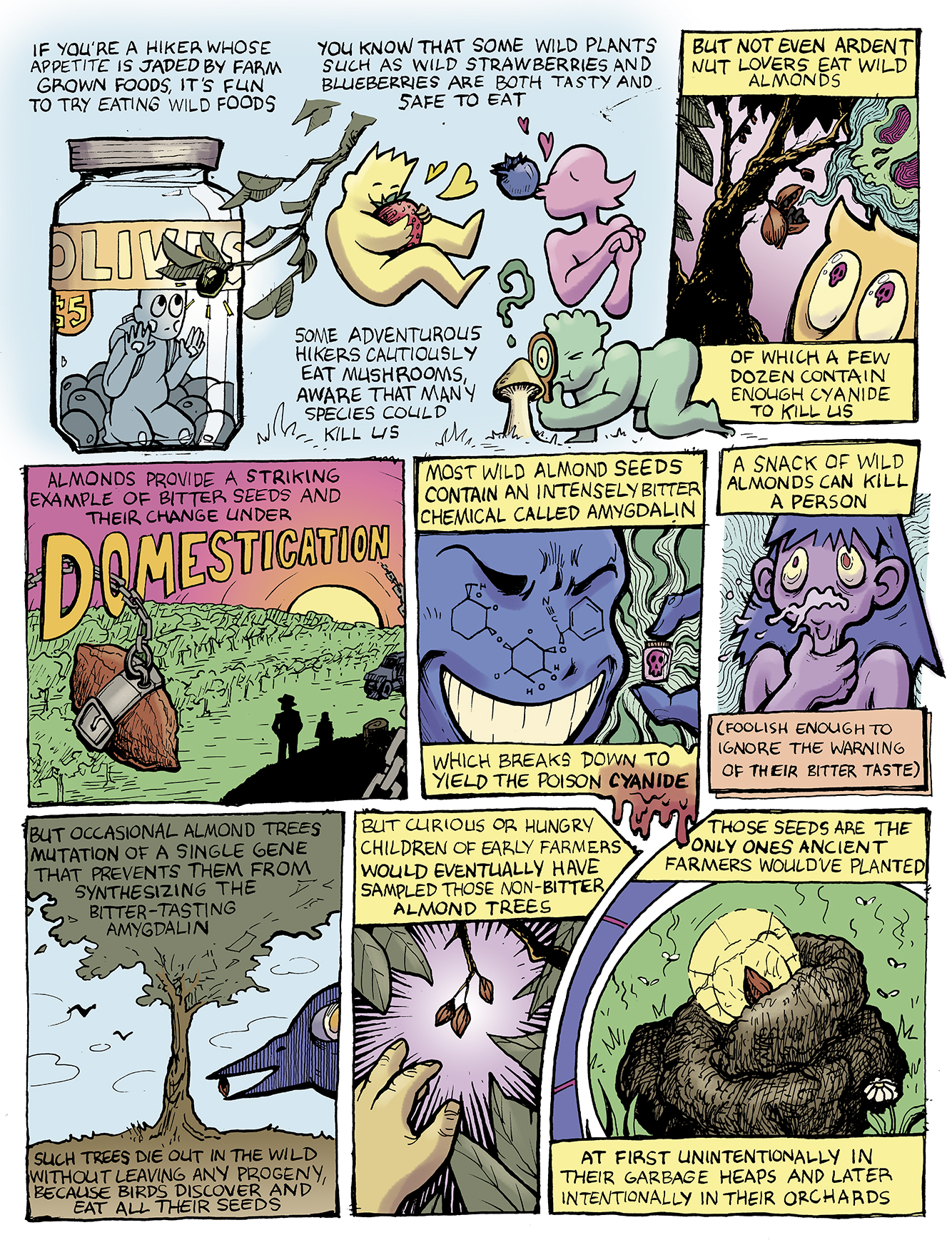 An illustrated excerpt from chapter 7 of the book Guns, Germs, and Steel: The Fates of Human Societies by Jared Diamond, which explains how almond trees came to be domesticated. The illustrations are done in a colorful, cartoony style.